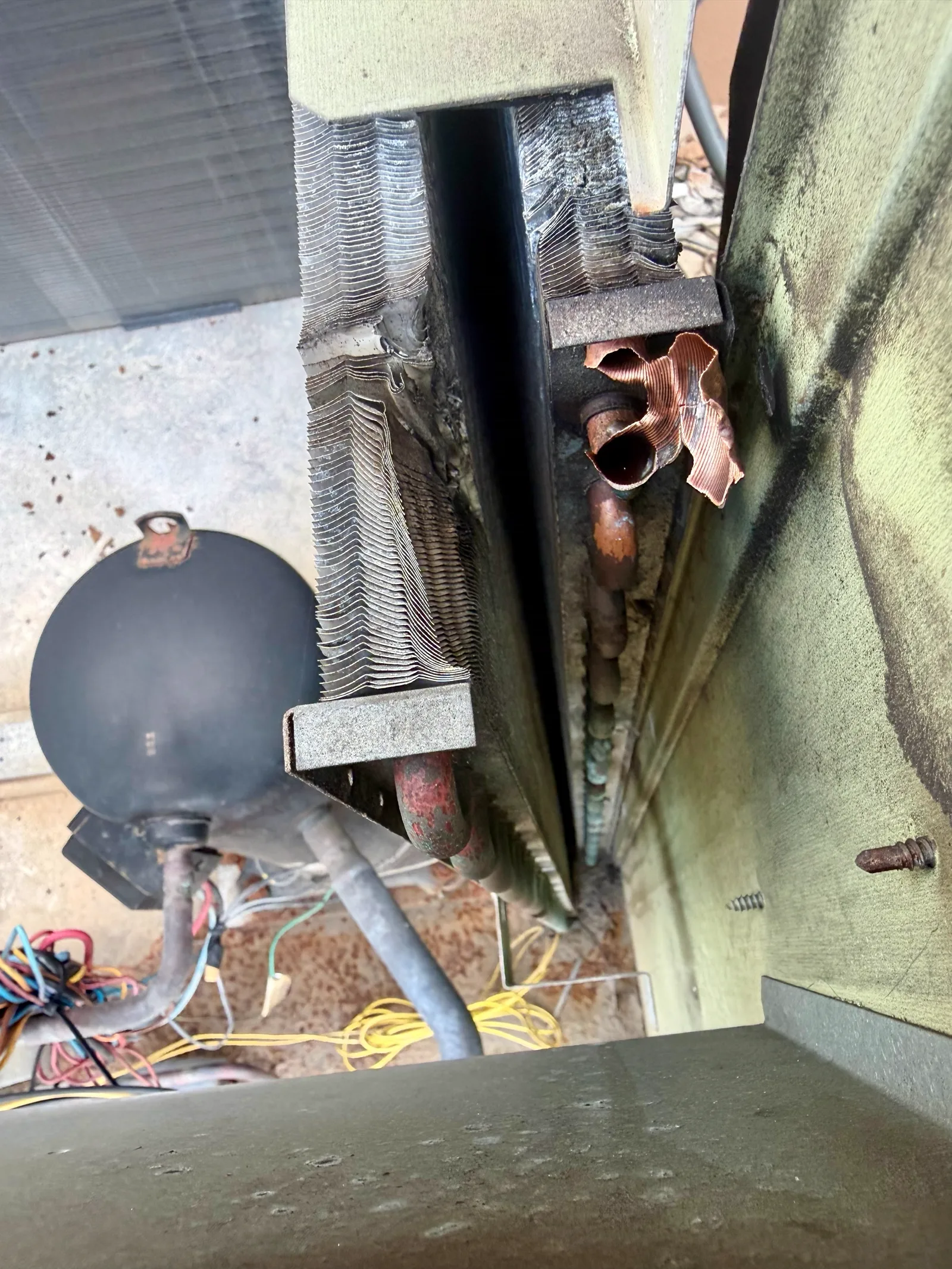 Close-up of the failed condenser coil on the Trane condensing unit showing damaged fins and corroded copper tubing